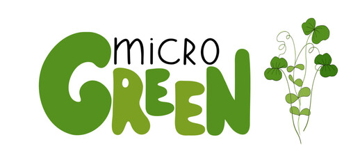 Microgreens or baby greens mix, lettering, logo, illustration objects. Handwritting with fresh sprouts art. Hand drawing banner design. Vegan product. Healthy eating