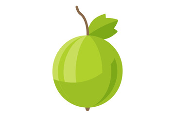 Elegant Gooseberry Vector Illustration for Digital Art Projects