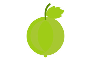 Elegant Gooseberry Vector Illustration for Digital Art Projects