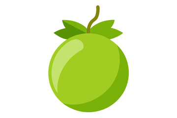 Elegant Gooseberry Vector Illustration for Digital Art Projects