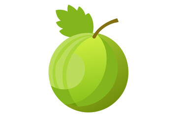 Elegant Gooseberry Vector Illustration for Digital Art Projects