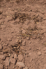 Climate change with natural disasters affecting agriculture on fertile land