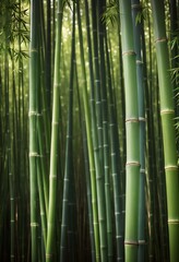 Fototapeta premium verdant bamboo forest canopy