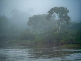Morning atmosphere on the Amazon River near Anamà.