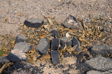 Climate change with natural disasters affecting agriculture on fertile land