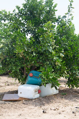 Climate change with natural disasters affecting agriculture on fertile land
