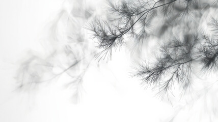 Obraz premium Light gray smoke trails with faint shadows of pine needles in the background, creating a winter forest feel with a smoky twist