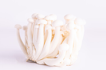 Raw organic shimeji mushrooms on light background close up. Healthy vegan food concept.