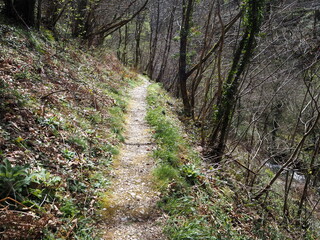 french way view