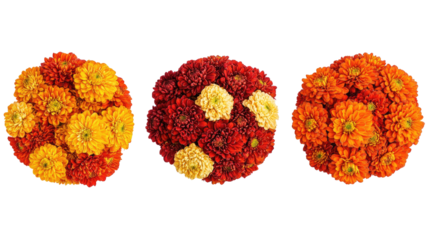 Chrysanthemum Flowers in Vibrant Colors for Festive Decorations Generative AI