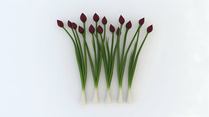 Fototapeta premium A row of six purple chives, arranged in a pattern on a white background.