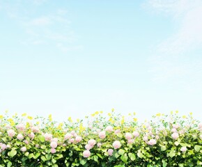Pink Roses and Flowers Border