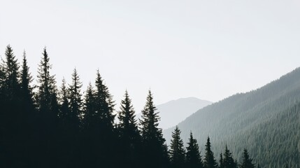 Misty Mountain Forest Silhouette