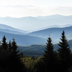 Obraz premium Misty Mountain Range with Pine Trees