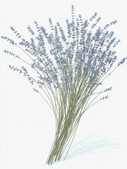 Delicate Lavender Bouquet