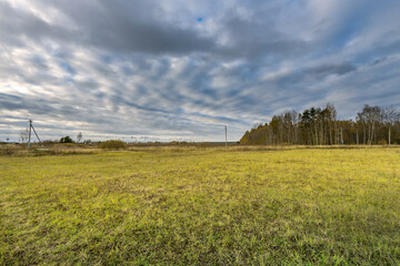 A field of grass with a cloudy sky in the background