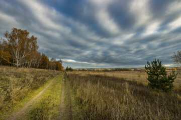 A road runs through a field of tall grass