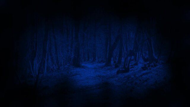 POV Monster Moving Through Dark Forest
