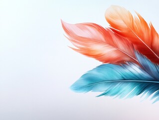 Naklejka premium Colorful Feathers on White Background: A Minimalist Art Print