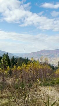 Late autumn in Carpathians mountains, Slavske, Ukraine
