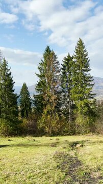 Late autumn in Carpathians mountains, Slavske, Ukraine
