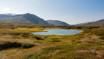 Beautiful nature scenery with lake in the arctic wilderness coloured in autumn palette and tall mountains on horizon during beautiful day in lapland in Sweden while hiking the Kungsleden trail
