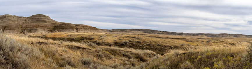 Panorama of dry desert scene with tan colored grass and low muddy looking hills
