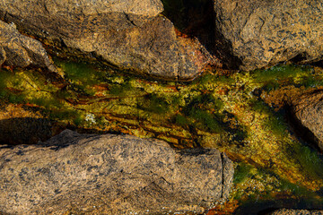 Wall stone nature at the A Coruña beach, perfect for wallpapers, background and home decoration