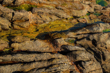 Wall stone nature at the A Coruña beach, perfect for wallpapers, background and home decoration