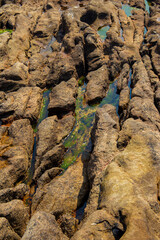 Wall stone nature at the A Coruña beach, perfect for wallpapers, background and home decoration