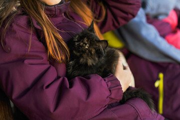 Girl, child caresses a small fluffy homeless kitten sitting on her hands. Photo of an animal.