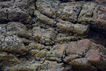 Wall stone nature at the A Coruña beach, perfect for wallpapers, background and home decoration