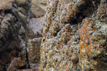 Wall stone nature at the A Coruña beach, perfect for wallpapers, background and home decoration