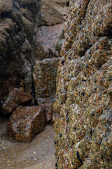 Wall stone nature at the A Coruña beach, perfect for wallpapers, background and home decoration