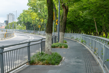 A tree-lined pathway alongside a city street, paved with asphalt and has a metal railing separating it from the road traffic. Tree canopy provides shade. Urban pedestrian infrastructure.