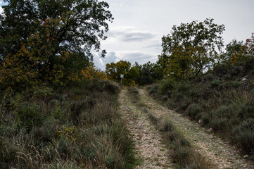 Obraz premium rural roads in the municipality of Llimiana, Pallars Lluça, Lleida