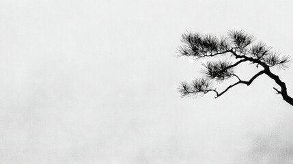   A monochrome image depicting a majestic pine tree with an avian occupying the uppermost limb