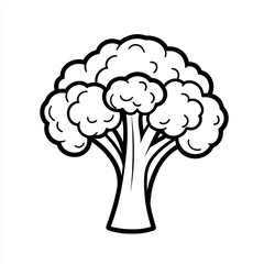 simple line drawn of Cauliflower or broccoli on white background.