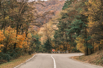 Serene autumn road winding through a vibrant forest. Golden and crimson leaves frame the asphalt path, creating a picturesque fall landscape. Perfect for travel, nature, and seasonal themes. Romania