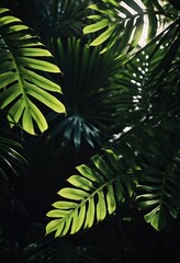 Vibrant Monstera leaves hang gracefully, bathed in soft sunlight filtering through the canopy of a tropical rainforest, creating a serene atmosphere. Generative AI