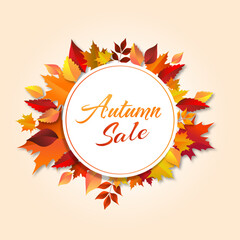 Autumn Sale leaves concept  illustration vector banner