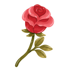 Red rose illustration in hand drawn watercolor style, isolated on white background, red rose flower clip art vector