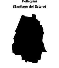Pellegrini department (Santiago del Estero) blank outline map