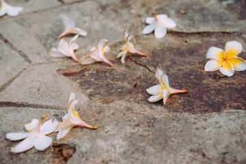 Vung Tau Beach with Blue Sky Flowers and Mother Mary Statue Scenic Coastal View with Coffee Shop Nearby High quality photo