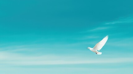 Fototapeta premium A white bird soaring against a blue sky, surrounded by fluffy white clouds