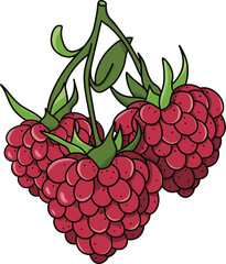 Raspberry in the form of a heart