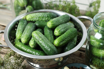 Fresh cucumbers and dill on wooden table, closeup. Preparation for pickling