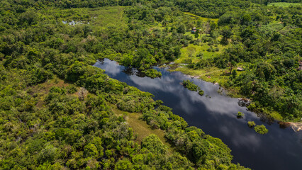 The Nanay River, one of the most important freshwater channels in the Peruvian jungle surrounded by green nature, and is part of the Allpahuayo Mishana Reserve