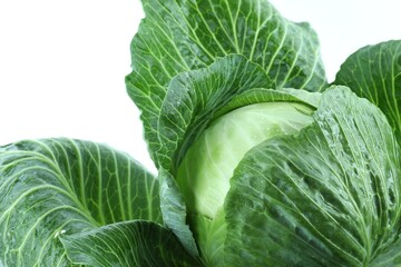 Whole ripe head of cabbage isolated on white