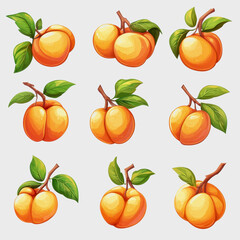 A collection of vibrant apricot illustrations featuring various designs with leaves on a clean white background, perfect for culinary or decorative use.